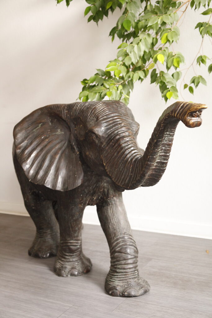 Der Elefant ist cauch umgezogen